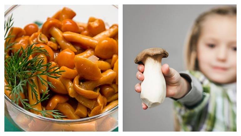 Можно ли давать ребенку грибы: с какого возраста и как готовить