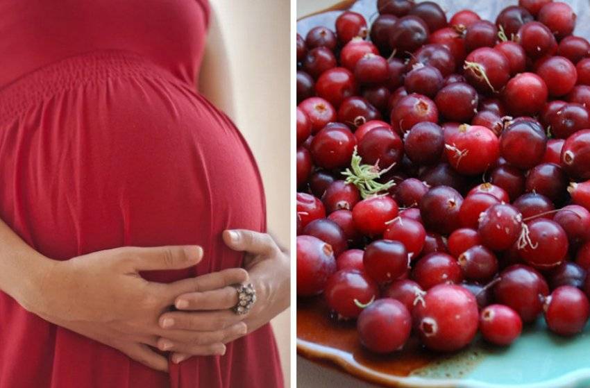 Клюква при беременности: применение от отеков. можно ли беременным есть клюкву на ранних и поздних сроках? польза и вред морса. рецепты