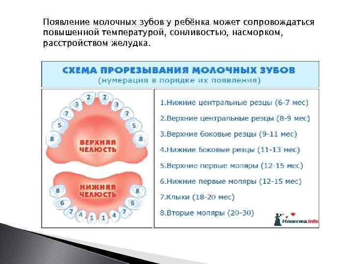 Аномалии зубов