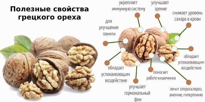Можно ли кормящей маме грецкие орехи: отзывы и рецепты блюд