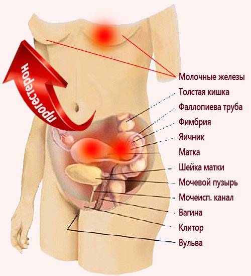 Симптомы болезни - боли в паху при беременности