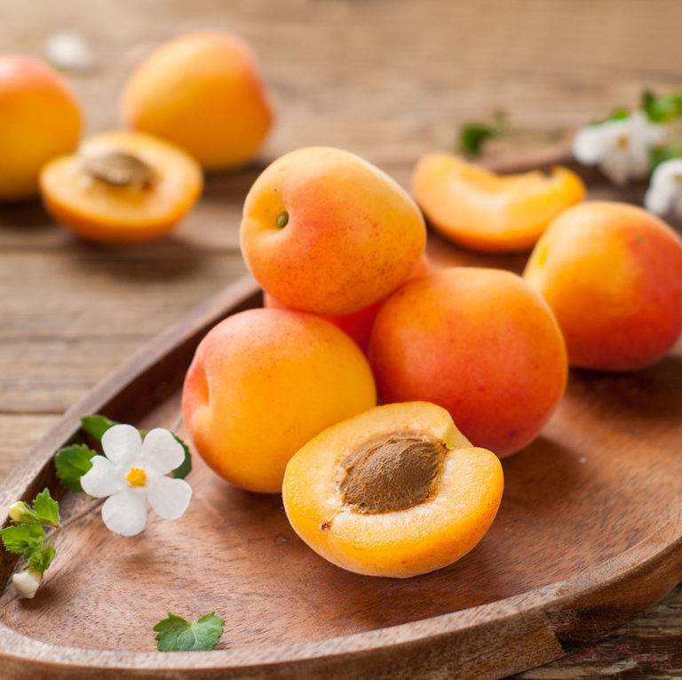 Абрикос: сорта, размножение, посадка и уход за абрикосами