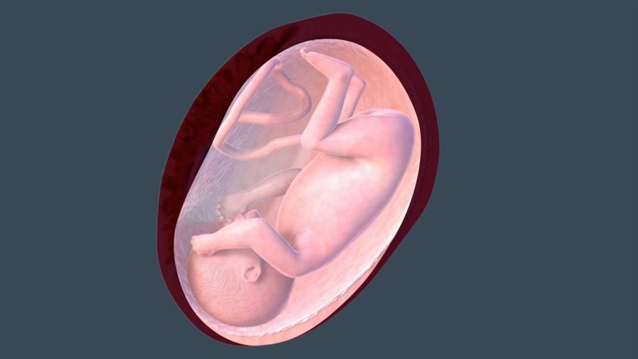 34 неделя беременности: признаки и ощущения женщины, симптомы, развитие плода