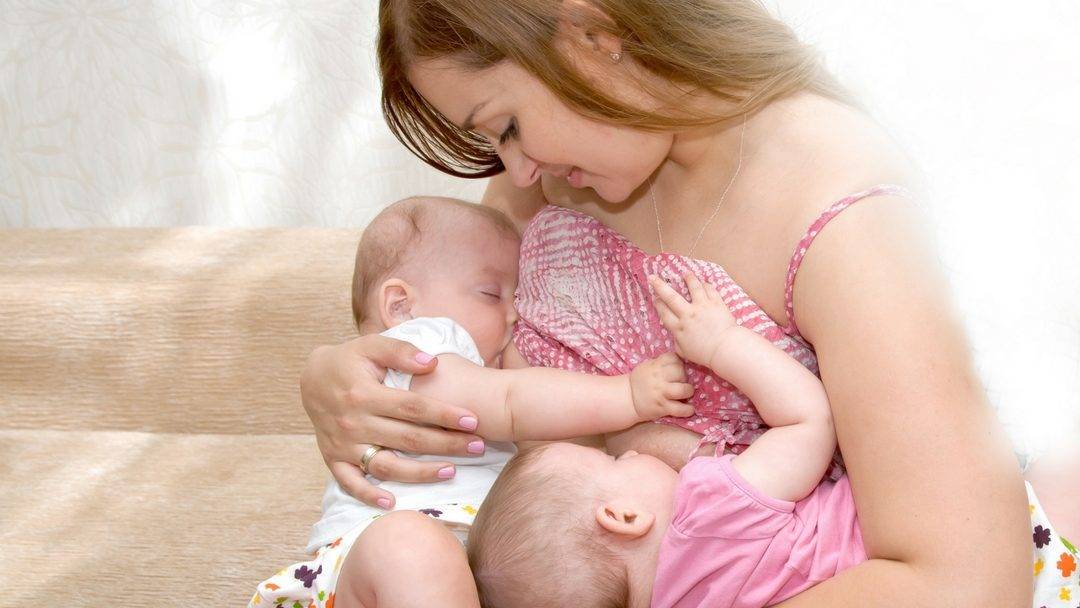 Новорожденная двойня – вас спасет режим дня двойняшек