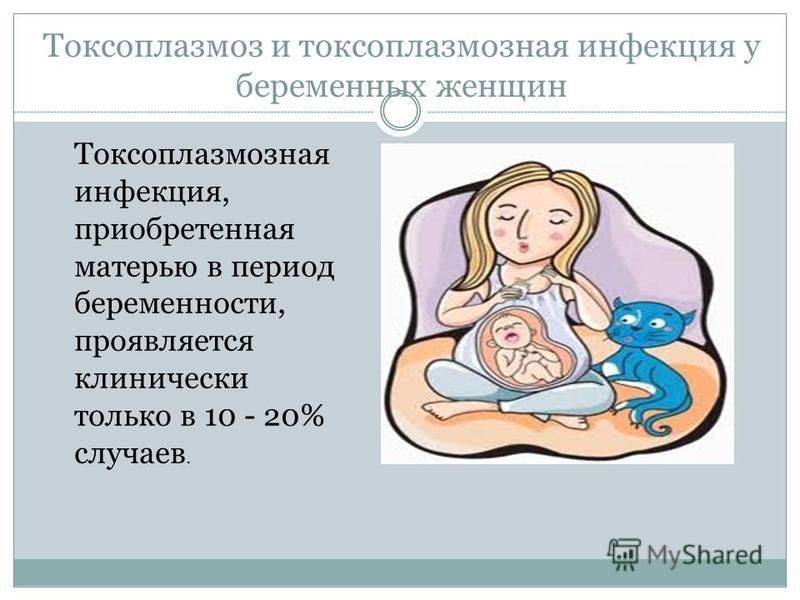 Токсоплазмоз при беременности