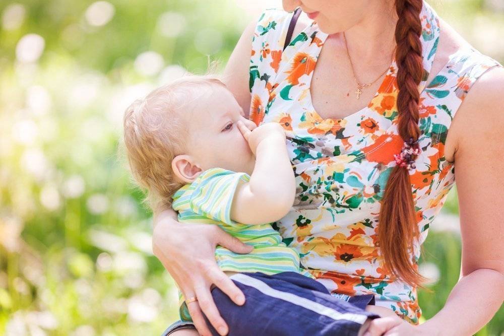 Укроп – польза для мамы и грудничка