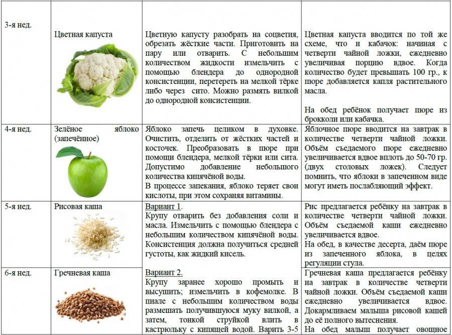 Введение прикорма: 12 советов педиатра, главные правила, продукты по месяцам, профилактика пищевой аллергии