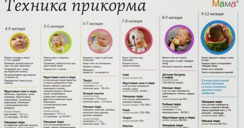 Введение прикорма - правила и продукты. какие витамины нужны детям? меню детям в 6 месяцев, в 7 месяцев, 8 месяцев, 9 месяцев и  до года. сколько прикорма давать детям?