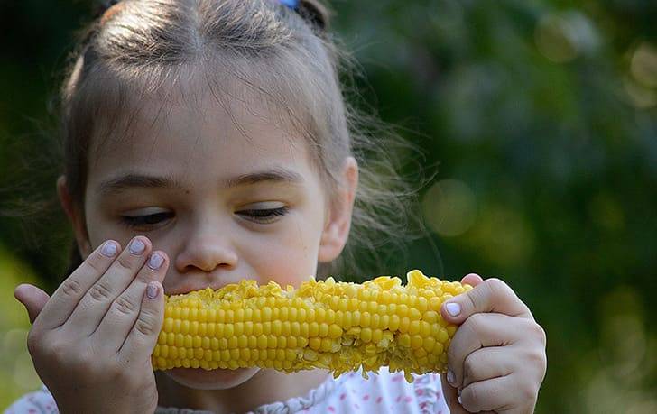Кукуруза детям: польза и вред