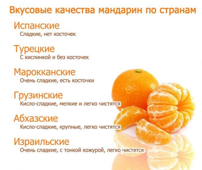 С какого возраста можно давать ребенку апельсин: когда вводить в прикорм, можно ли дать в год, сок