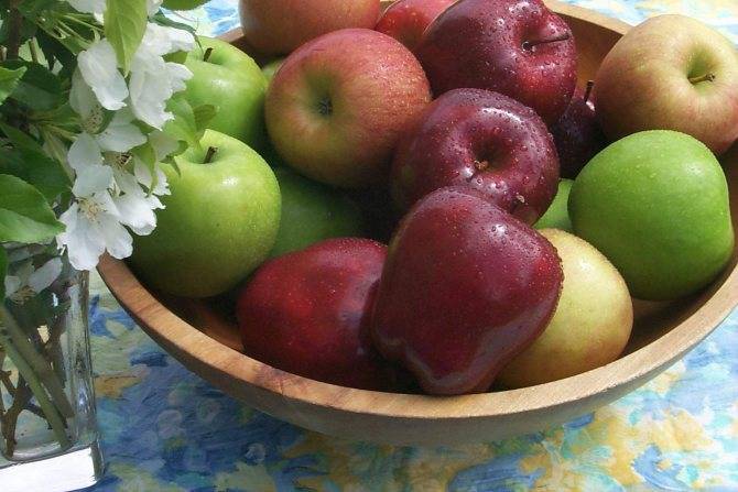Можно ли яблоки при грудном вскармливании - все про яблоки для кормящих мам