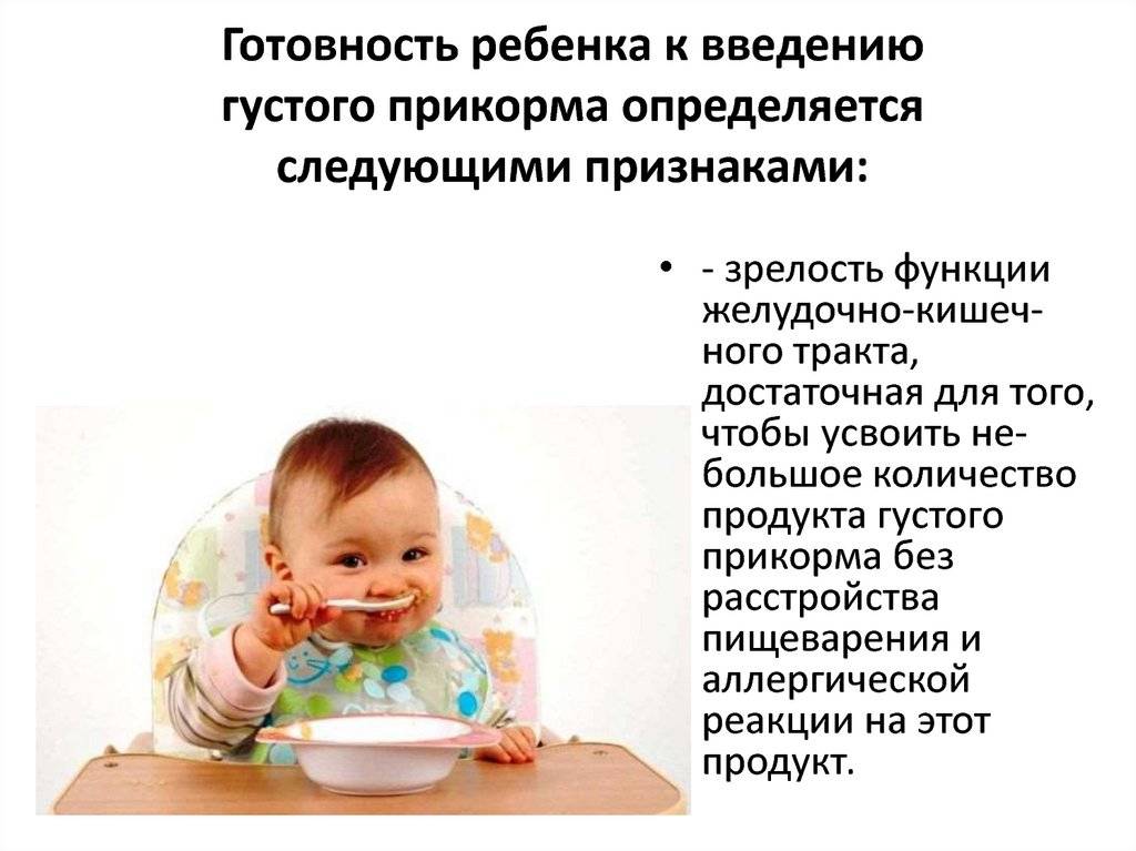 Прикорм ребенка: современные рекомендации педиатров ~ я happy мама