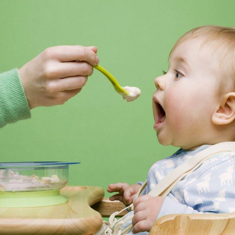 Ребенок не ест прикорм в 7, 8, 9, 10 месяцев: что делать, комаровский