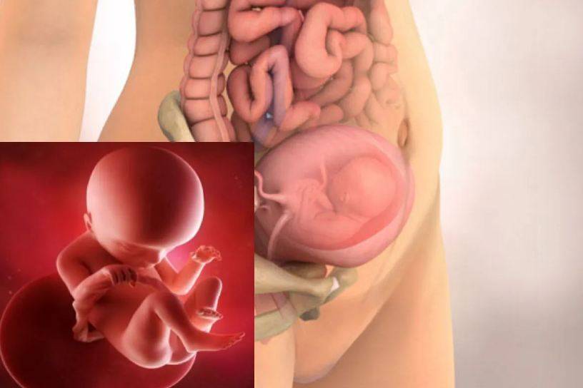 Первые симптомы оплодотворения: когда и как распознать беременность?