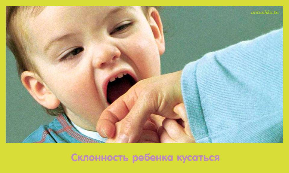 Ребенок кусается: советы и рекомендации психологов что делать с ребенком