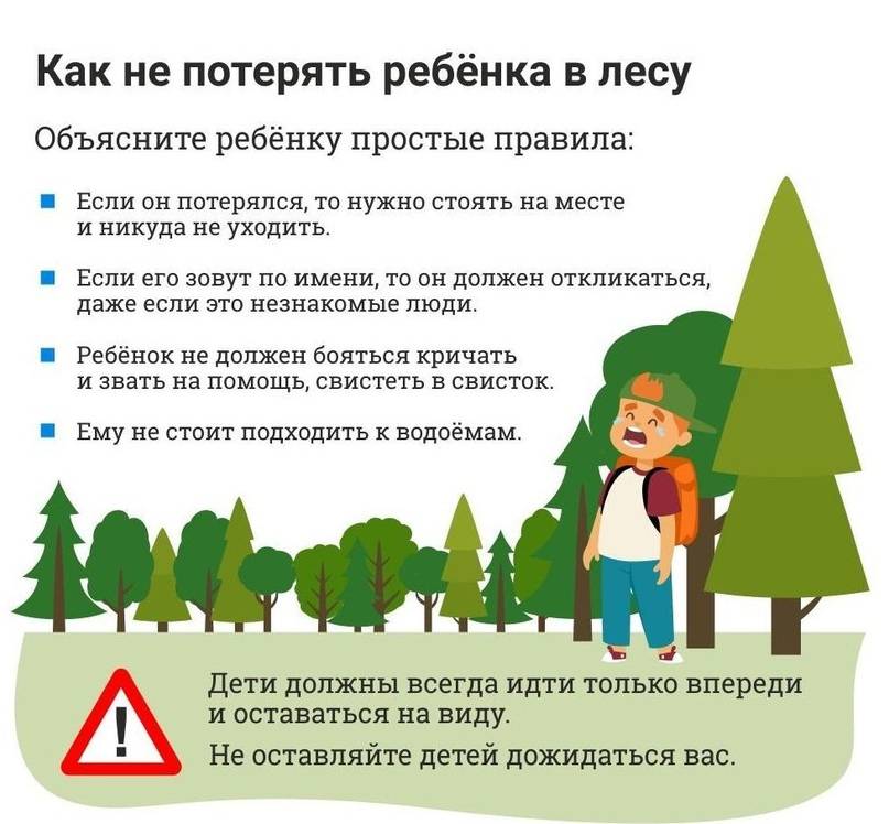 Безопасность детей в лесу: если ребёнок заблудился