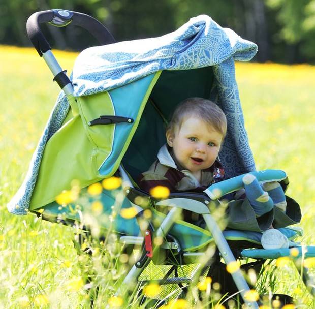 Как выбрать коляску для новорожденного летом: их виды