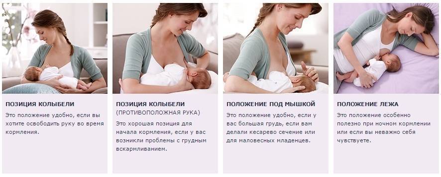 Приучаем новорожденного ребенка правильно брать грудь для грудного вскармливания