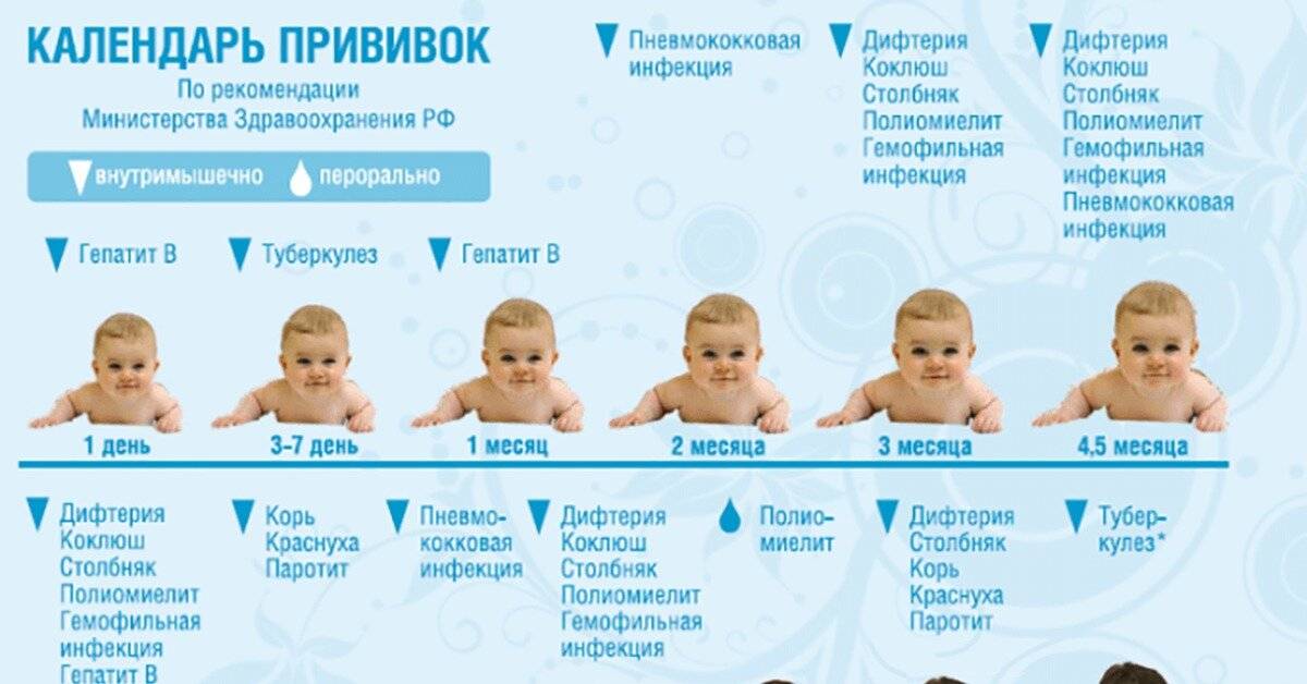 Календарь прививок для недоношенных детей до 1 года