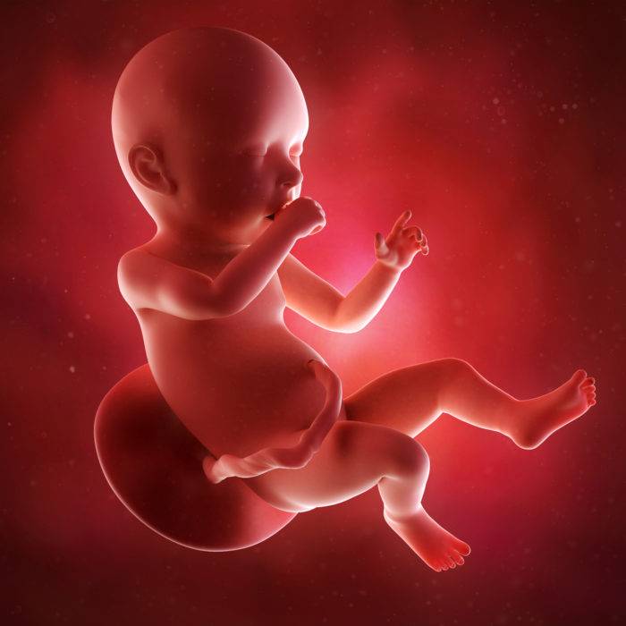 41 неделя беременности: перенашивание, программированные роды