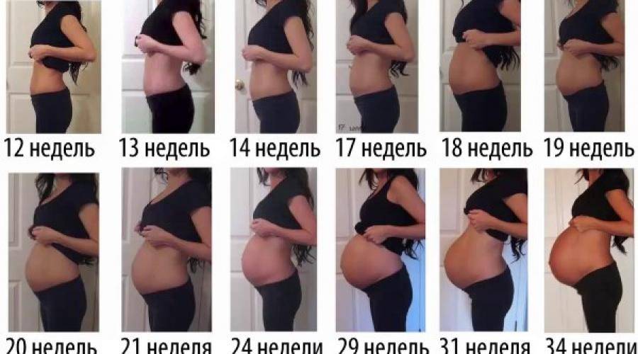 На каком месяце начинает расти живот при второй беременности