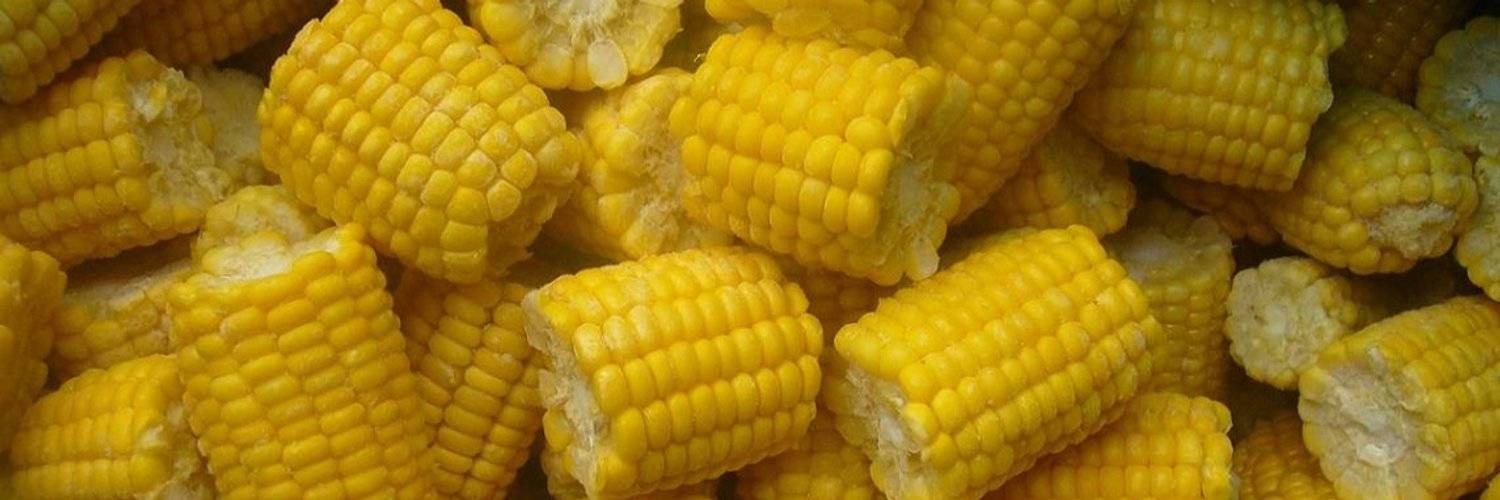 Вареная кукуруза: полезна ли?