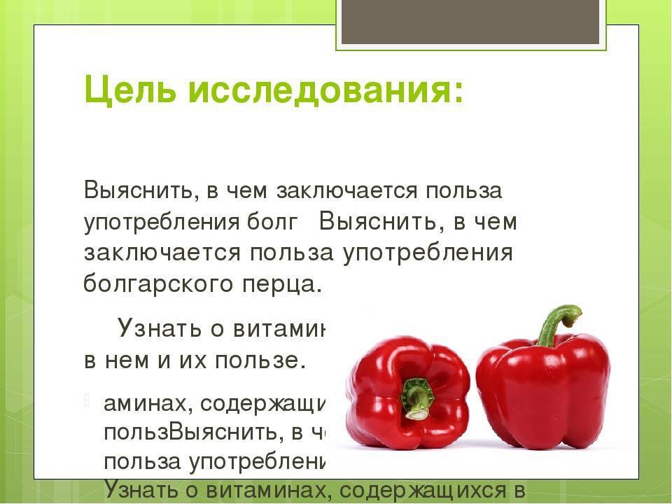 Болгарский перец при грудном вскармливании • blogmamy.ru