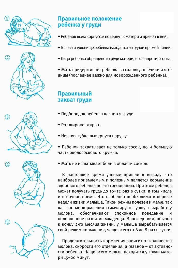 Как кормить грудью: основные правила прикладывания к груди. популярные вопросы