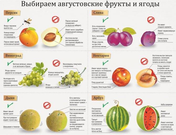 Можно ли давать свежие ягоды ребенку до года? vovet.ru