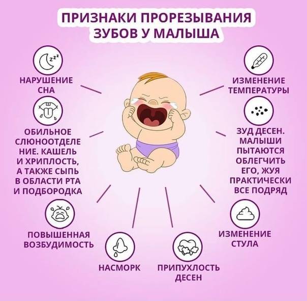 Прорезывание зубов у детей - когда у детей режутся первые зубы: календарь, симптомы, поведение - agulife.ru