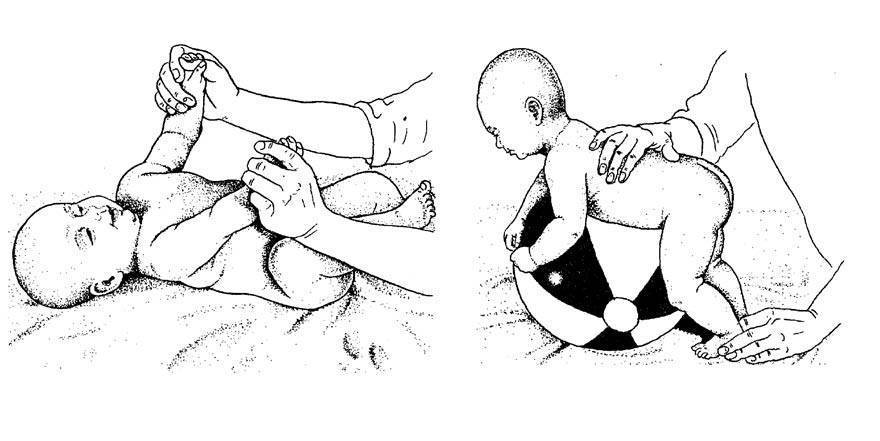 Гимнастические упражнения и массаж детей от 6 до 9 месяцев - новорожденный. ребенок до года