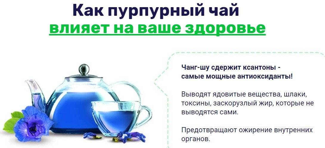 Пурпурный чай чанг шу: реальные отзывы потребителей и врачей, цена, как заваривать