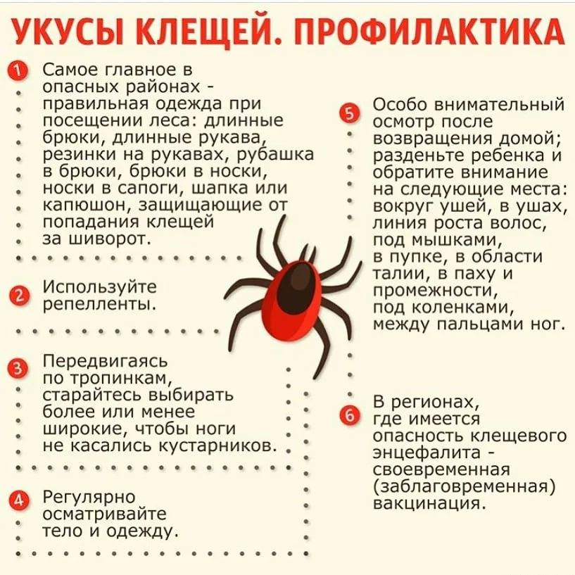 Картинки клещи осторожно меры предосторожности