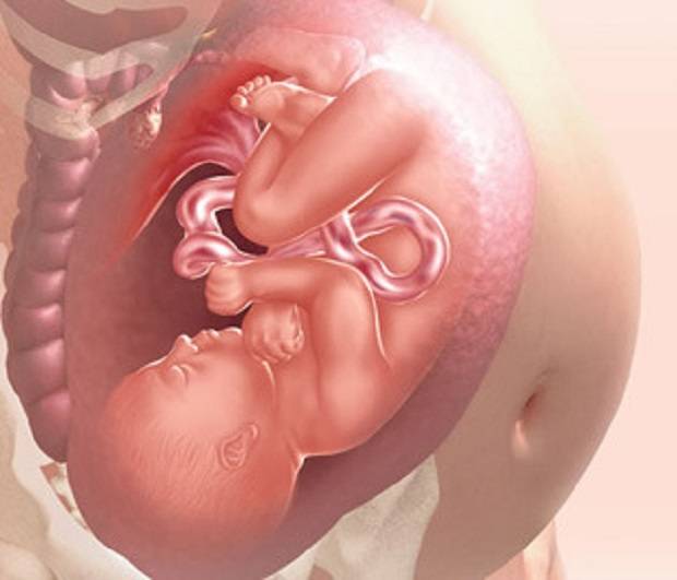 36 неделя беременности: что происходит с мамой и малышом?