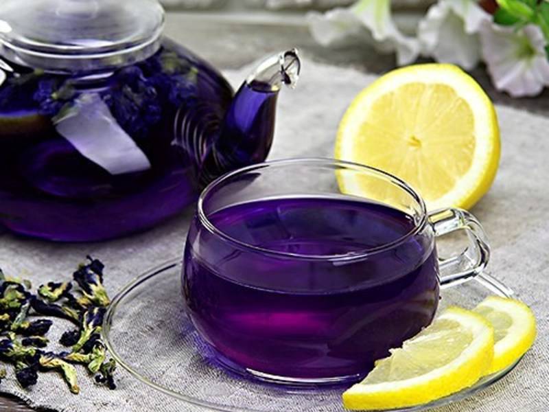 Вся правда о чае чанг шу (пурпурный или синий чай)
