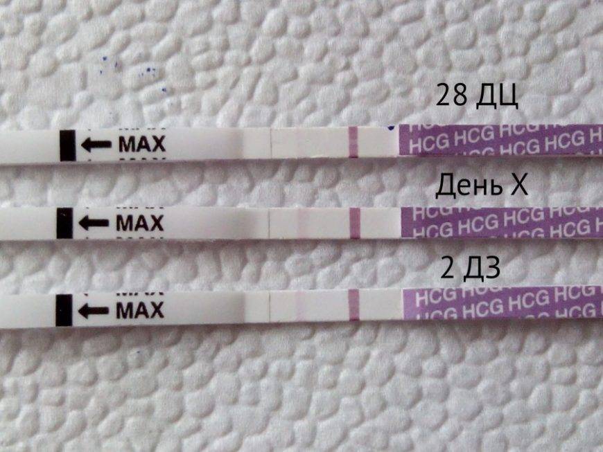 За сколько дней до месячных можно делать тест на беременность (за 2-6 дней, неделю)