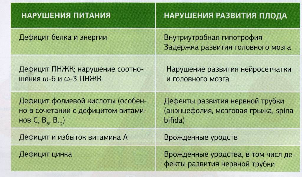 Правильное питание во время беременности - советы по правильному питанию - agulife.ru