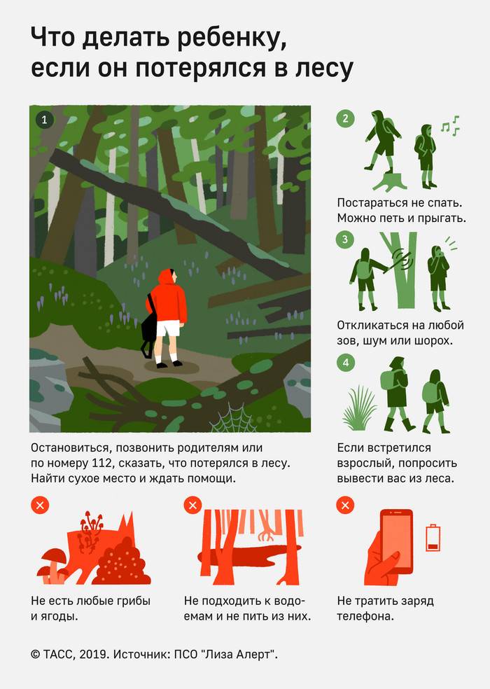 Как вести себя ребенку, который потерялся в лесу? разбираемся вместе с подмосковным экспертом