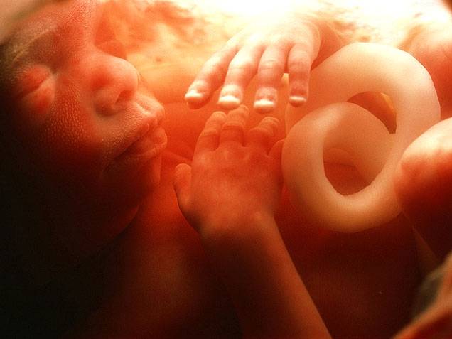 Беременность 22 недели – развитие плода и ощущения женщины