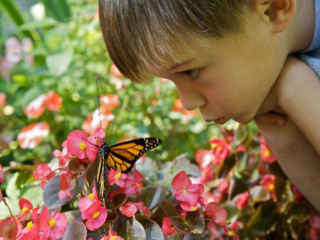 Лайфхак: как научить ребенка не бояться насекомых - статья сайта о детях imom.me
