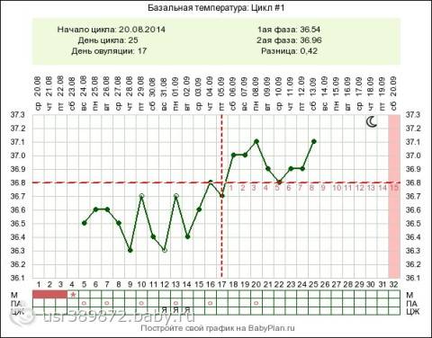Базальная температура при беременности на ранних сроках: график, нормы и отклонения / mama66.ru