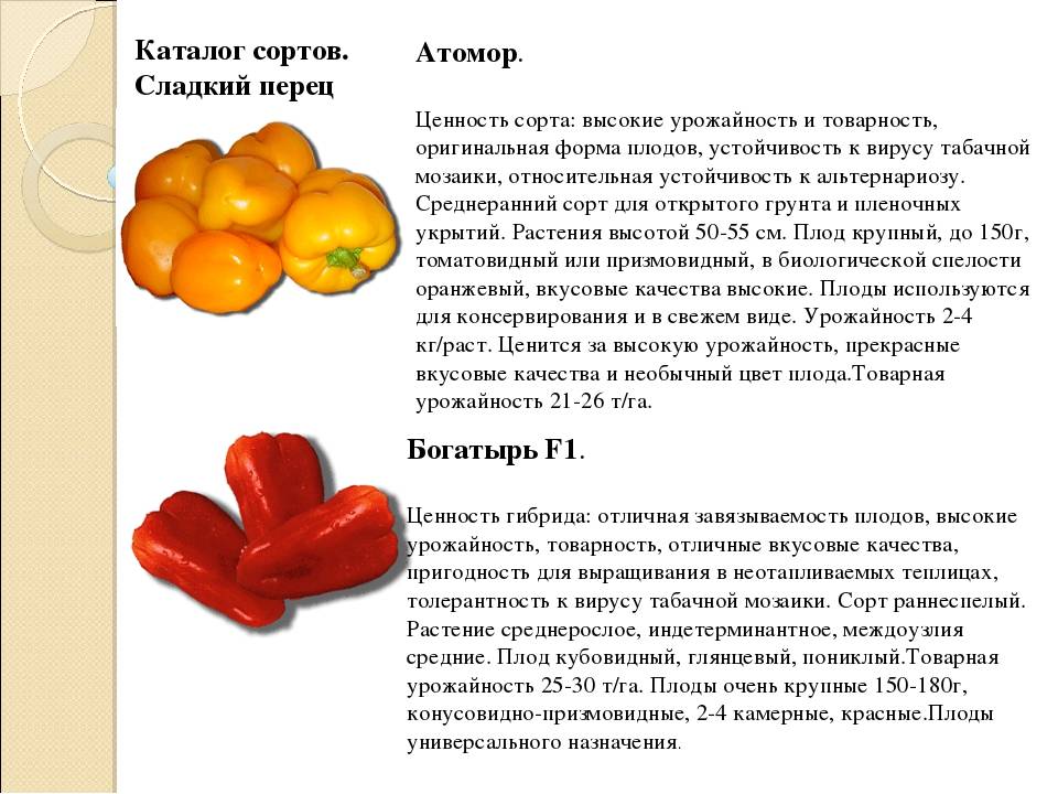 Красный перец детям с какого возраста. болгарский перец детям. какие же можно употреблять специи и с какого возраста