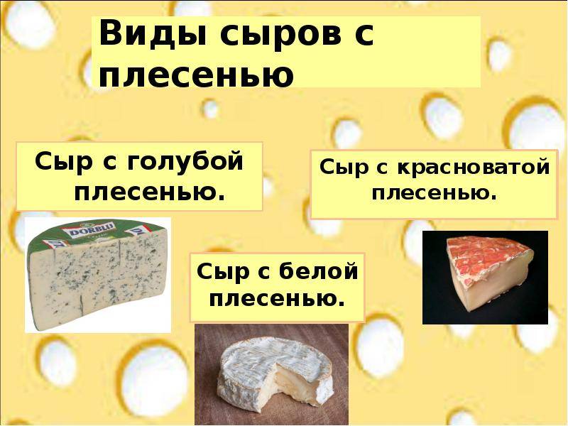 Сыр при грудном вскармливании: подбираем сорта для питания кормящей мамы