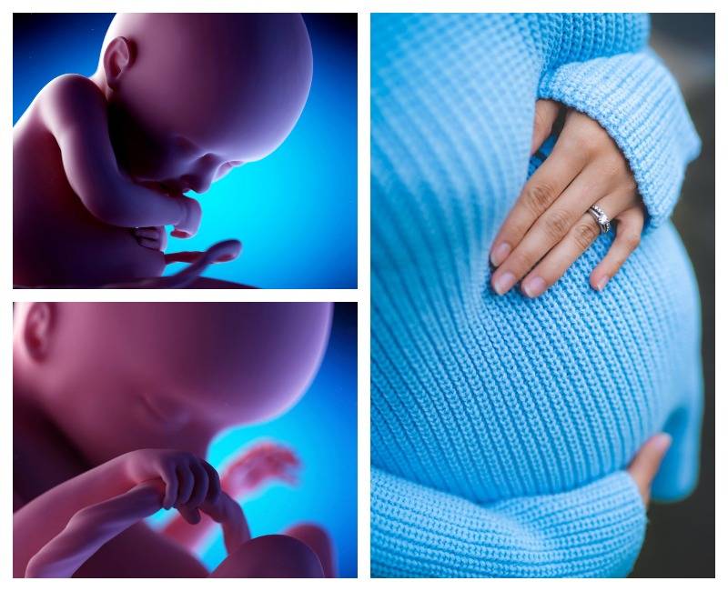 25 неделя беременности: признаки и ощущения женщины, симптомы, развитие плода