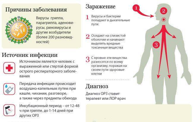 Что делать, если у ребенка осип голос — полезные статьи на сайте доктора зайцева