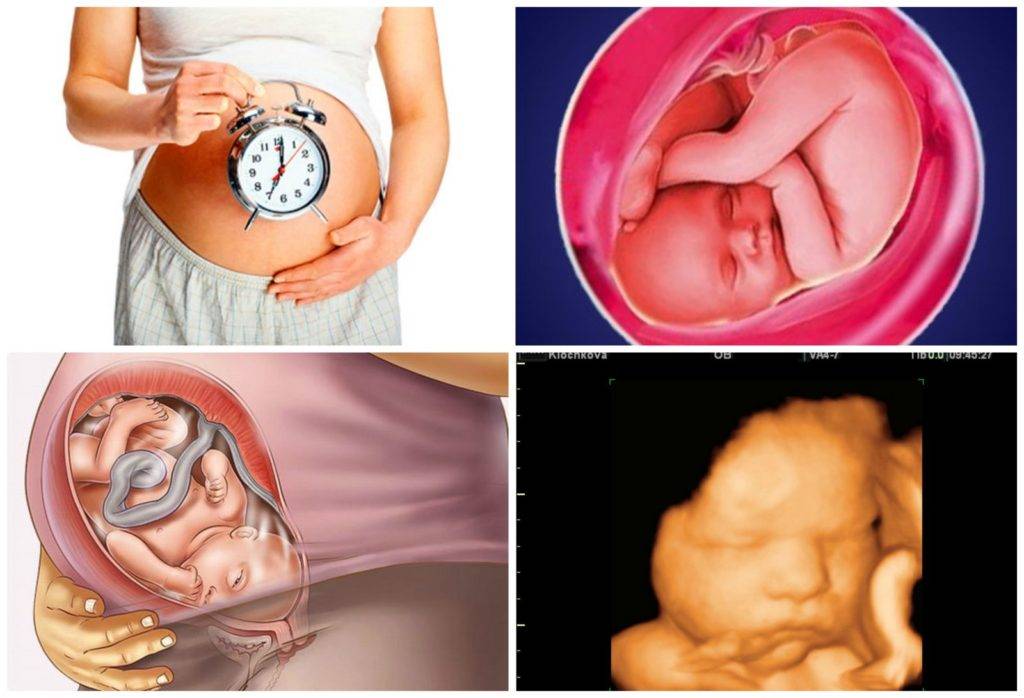 39 неделя беременности: все информация, которую нужно знать будущей маме, чтобы не переживать и не нервничать.