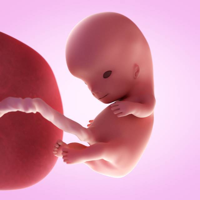10 неделя беременности: состояние малыша и матери