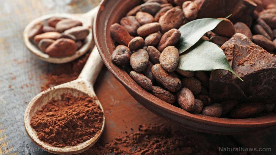 Какао для детей чем оно полезно и с какого возраста
