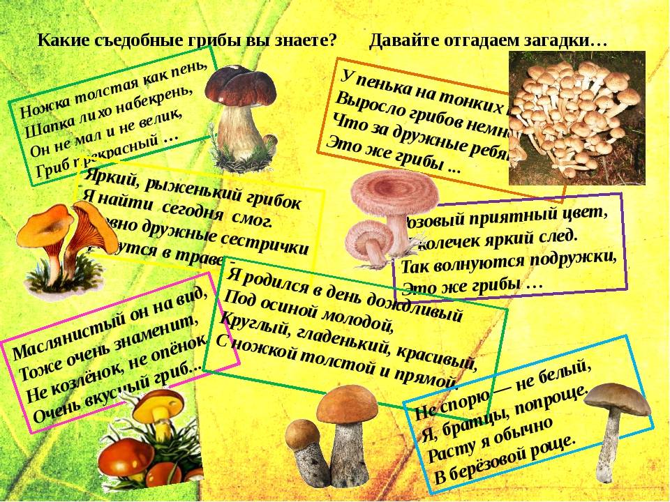 Можно ли детям грибы: важная информация для здоровья