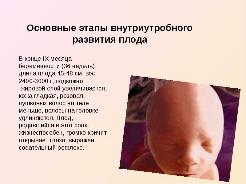 Ребенок икает в животе при беременности: что это значит и в чем причина икоты?